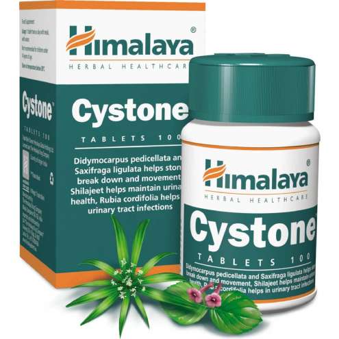 HIMALAYA CYSTONE 100 tablet